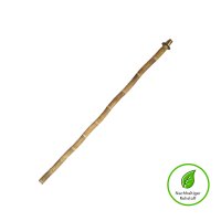 Bambus-Zeltstange 205cm - Ø 3cm